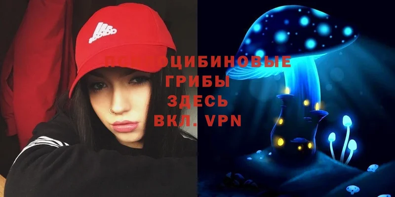 Галлюциногенные грибы MAGIC MUSHROOMS Знаменск